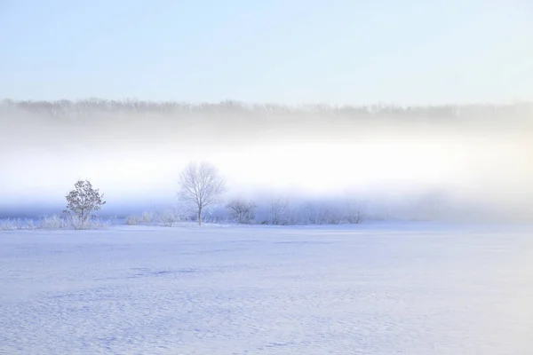 Χειμωνιάτικο Πρωινό Ομίχλη — Φωτογραφία Αρχείου