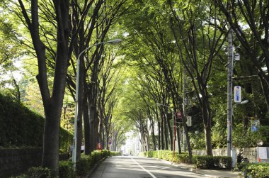 Yeşil ağaçlı ve yollu modern şehir manzarası   