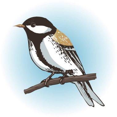 Dalda oturan kuşun resmi, yakın plan 