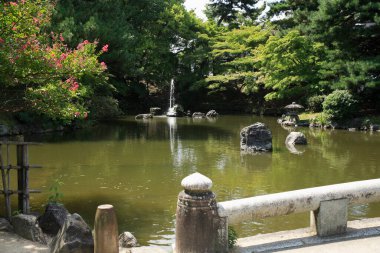 Su birikintisi ve yeşil ağaçlı Japon bahçesinin güzel manzarası 