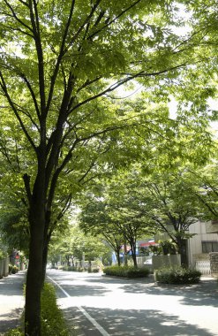 Şehir parkının güzel manzarası