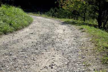 Asfalt yolda, baharda parkta toprak var..