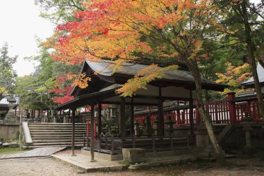 Güzel Japon tapınağı manzarası, Budizm konsepti