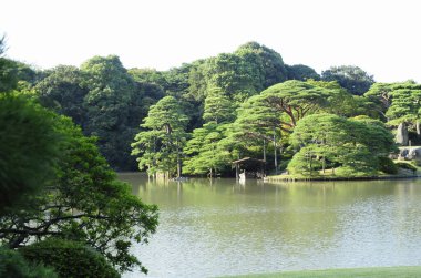 Parktaki güzel göl 