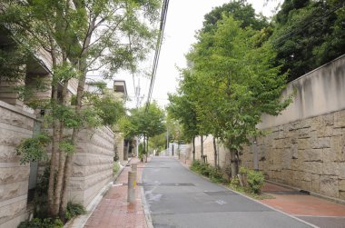 Yeşil ağaçlar ve taş duvarlarla kaplı sessiz bir yerleşim yeri.