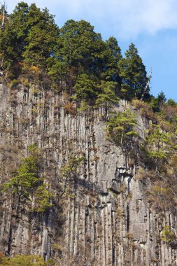 Ağaçlar ve dağlarla dolu güzel bir manzara.