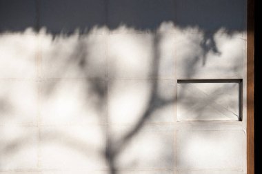 Kentin beyaz duvarlarında ağaç dalları var.