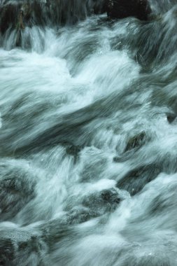 ormandaki nehir dağ