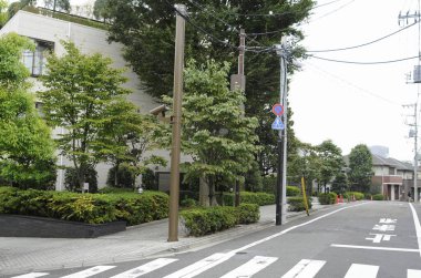 Yeşil ağaçların ve çalıların yanından geçen sessiz şehir caddesi