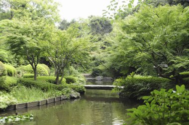 Park nehrinin güzel manzarası