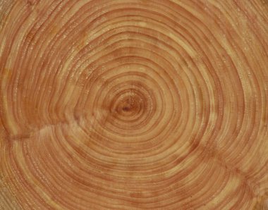 soyut ahşap doku, doğal arkaplan