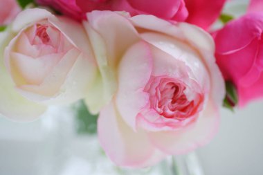 Kapatın güzel çiçekleri, buketi