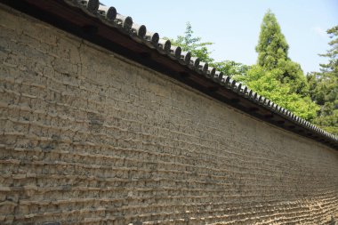 Yeşil ağaçlar ve mavi gökyüzüyle çevrili desenli duvar