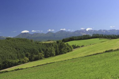 Yeşil tarlaları ve dağları olan güzel bir manzara.          