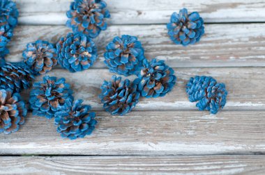 Ahşap masada çam kozalakları