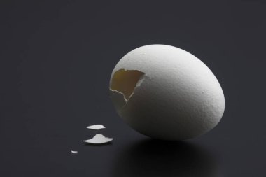 İzole edilmiş arka planda yumurtanın yakın plan çekimi.