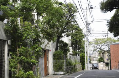 Banliyö evleri ve yeşil ağaçları olan güzel bir sokak manzarası.