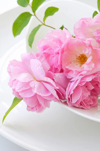Mooie Bloemen Van Dichtbij Bekijken Flora Concept — Stockfoto