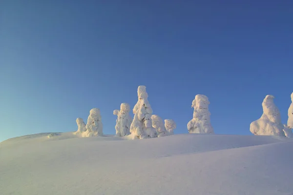 Bela Paisagem Inverno Com Árvores Cobertas Neve Nas Montanhas Durante — Fotografia de Stock