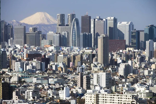 Flygfoto Över Tokyo Stad Dagtid Japan — Stockfoto