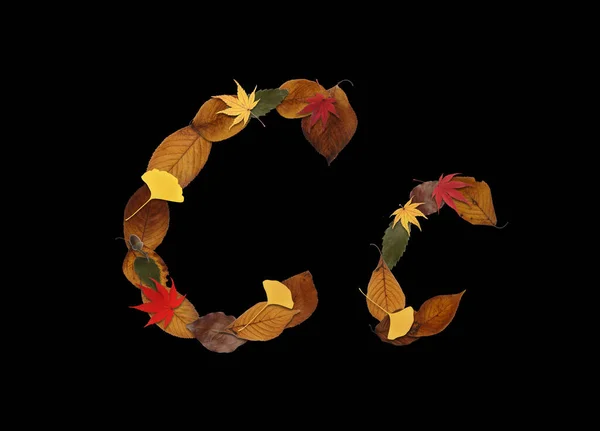 Abeceda Vyrobená Podzimních Listů Izolovaných Černém Pozadí Písmeno — Stock fotografie