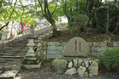 Yapraklı ağaçların arasından geçen yosunlu adımların yanındaki taş anıt.