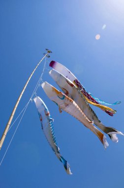 Hava Balık Rüzgarlığı Gökyüzünde, Japonya