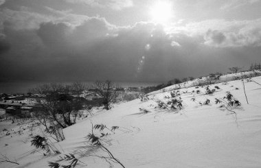 Karla kaplı güzel bir manzara - ağaçlarla kaplı