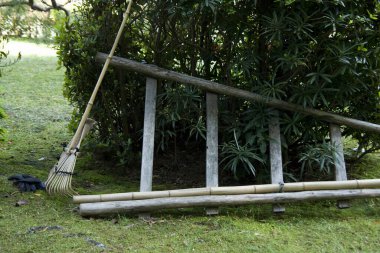 Yeşil yapraklı çalılara dayanan tahta merdiven.