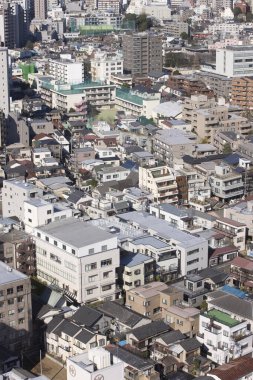 Tokyo şehrinin gündüz hava görüntüsü, Japonya