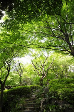 Yol ve yeşil ağaçlı güzel bir park manzarası.               