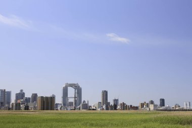 Japonya 'nın Osaka kentindeki yeşil bir parktan şehir merkezindeki apartmanlar. 