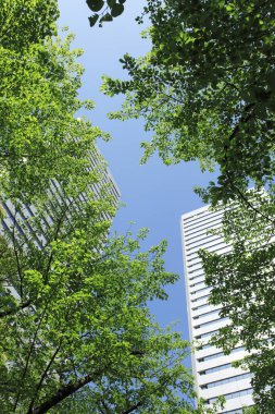 Yeşil yapraklı ağaçların alçak açılı görüntüsü ve kentsel şehirde uzun modern mimari     