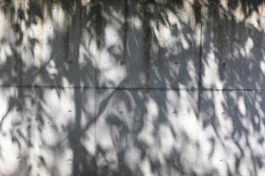 Ağaçlardan ve yapraklardan gölgeli beton duvar