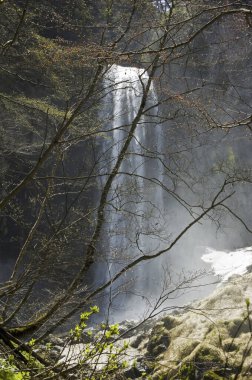 Ormanda güzel bir şelale