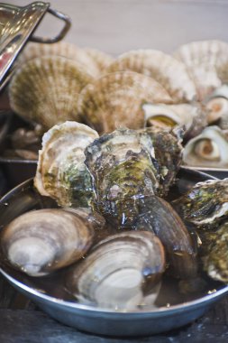 Taze istiridye, istiridye ve istiridye.