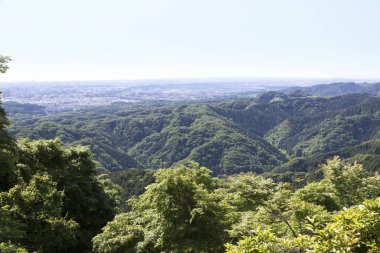 yemyeşil bitki örtüsü olan dağların güzel manzarası