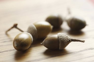 Ahşap arka planda taze meşe palamutları