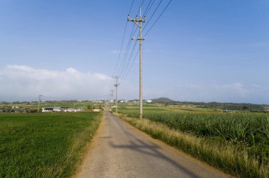Kırsal yol mavi gökyüzünün altındaki yeşil alanlar arasında uzanıyor.