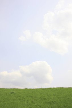 Güzel yeşil tarla ve beyaz bulutlu mavi gökyüzü