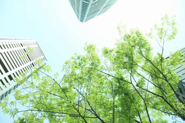 Modern ofis binaları ve alt manzaralı yeşil ağaç dalları. 