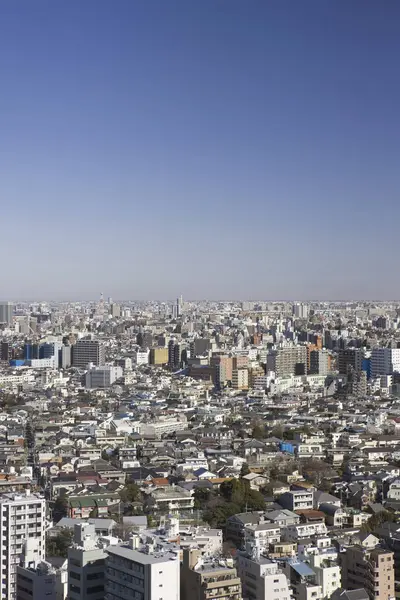Widok Lotu Ptaka Miasto Tokio Japonia — Zdjęcie stockowe