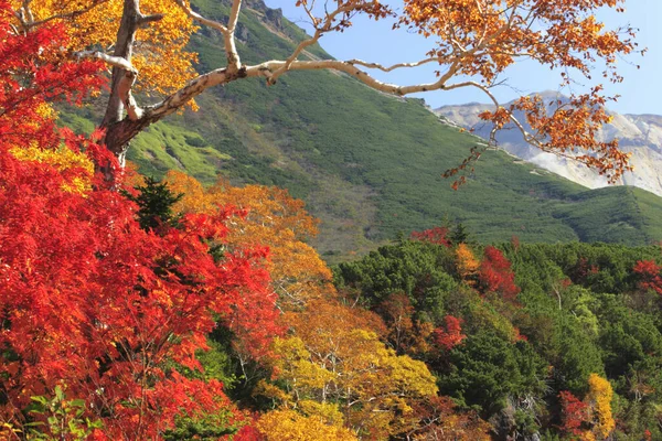 美丽的秋天风景 自然背景 — 图库照片