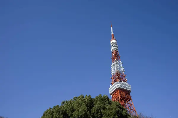 青空の背景にある東京スカイタワー — ストック写真