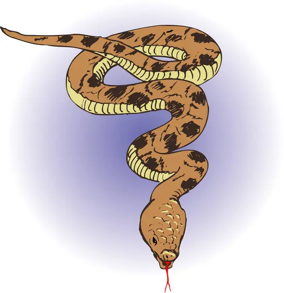color art snake illustration