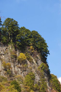 Doğanın güzel manzarası