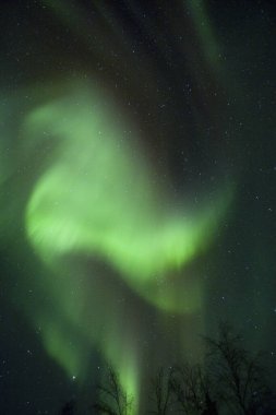 Gökyüzündeki Aurora Borealis 'in güzel gece manzarası               