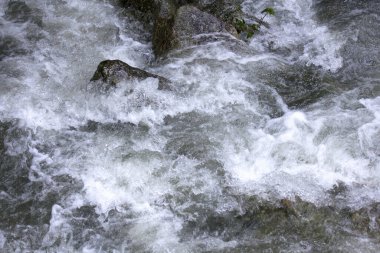 Güzel, hızlı bir dere. Doğa arkaplanı
