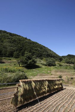 Güneşli bir günde dağlardaki kırsal alan manzarası 