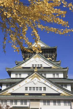 Renkli yaprakları olan sonbahar ağaçları, osaka kalesi arka planı 